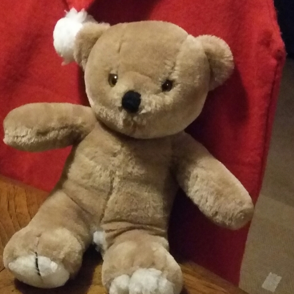 TEDDY BEAR